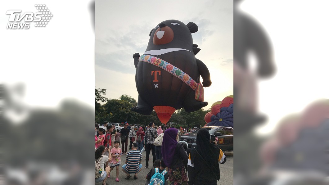喔熊出征大馬熱氣球展　可愛造型俘虜民心