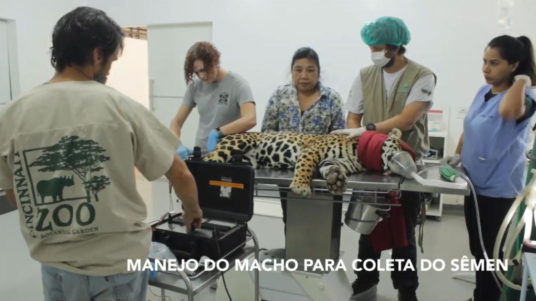 圖／翻攝自YouTube，Associação Mata Ciliar
