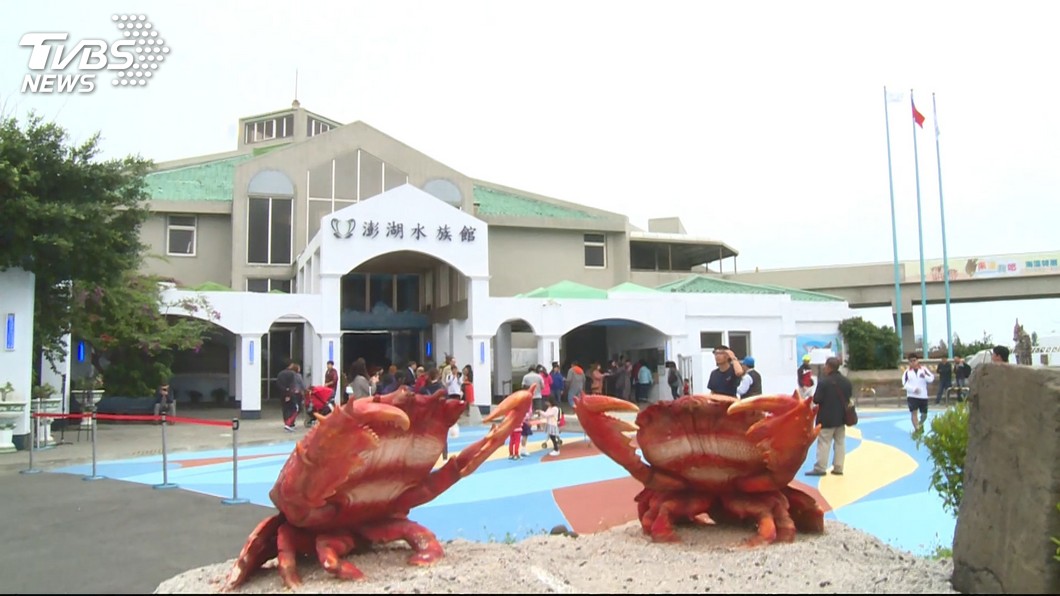 重新開幕! 澎湖水族館14m拱形海底隧道吸睛
