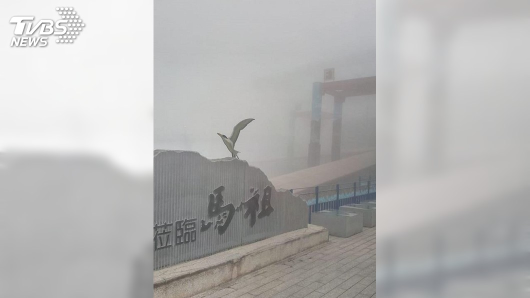 馬祖清晨罕見大霧 航空海運全面停擺