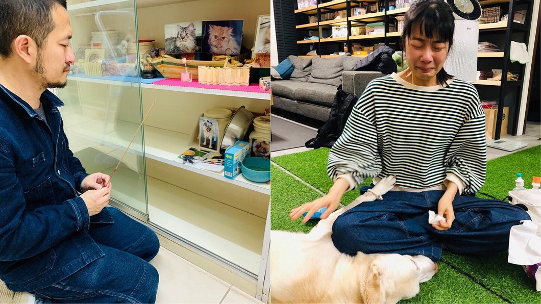 見愛犬火化「肚子爆射出一條條血」 九把刀:學不會送別