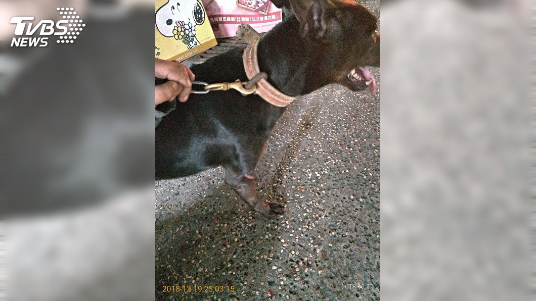騎機車拖行狗兒子受傷　飼主遭罰款1.5萬