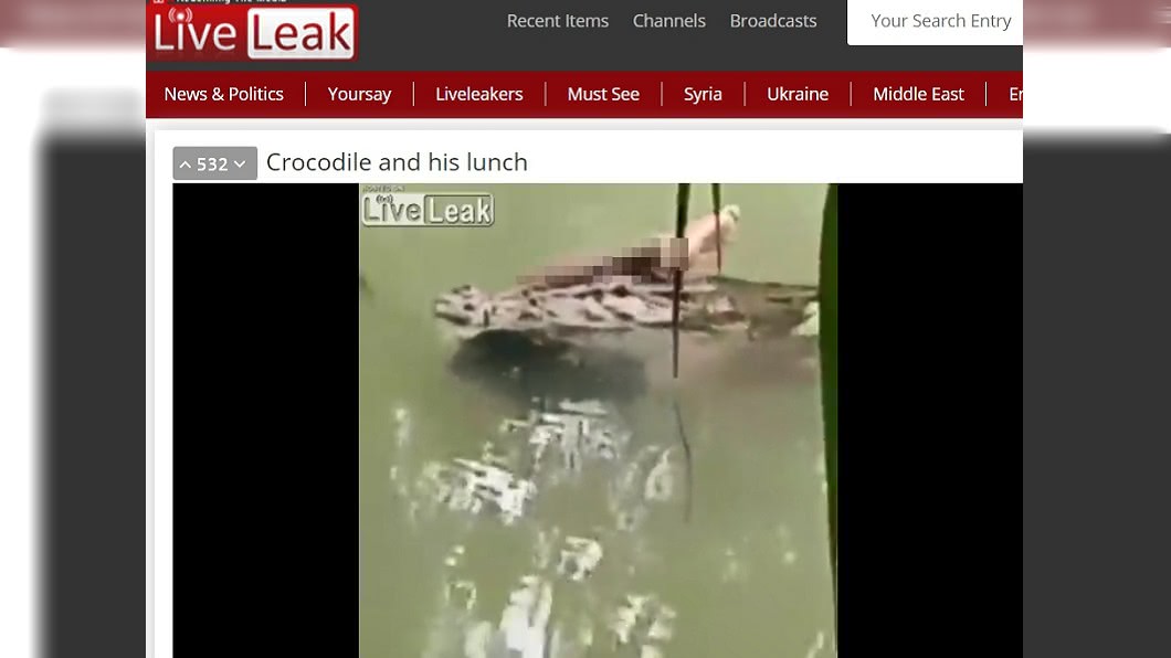 圖／翻攝自Liveleak