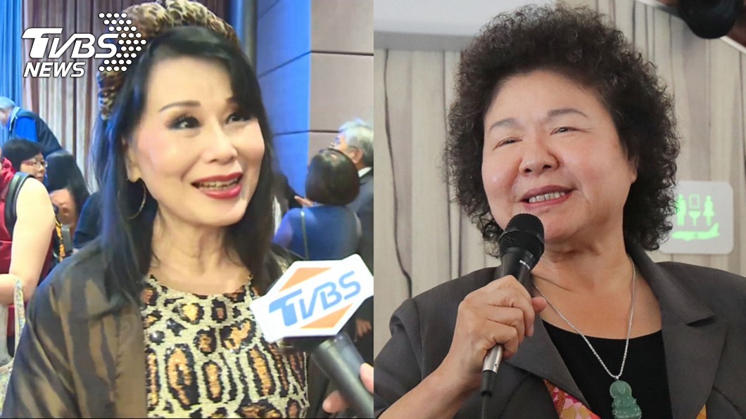 真的告了！嗆陳菊「蛇鼠一窩」　張琍敏今收傳票嘆這句