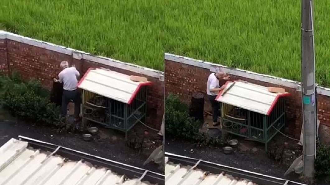 天天棍棒暴打!6幼犬「打到剩1隻」 網怒:會有報應