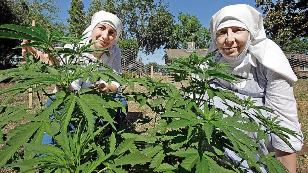 修女也瘋狂?為救毒蟲酒鬼 她們專種大麻