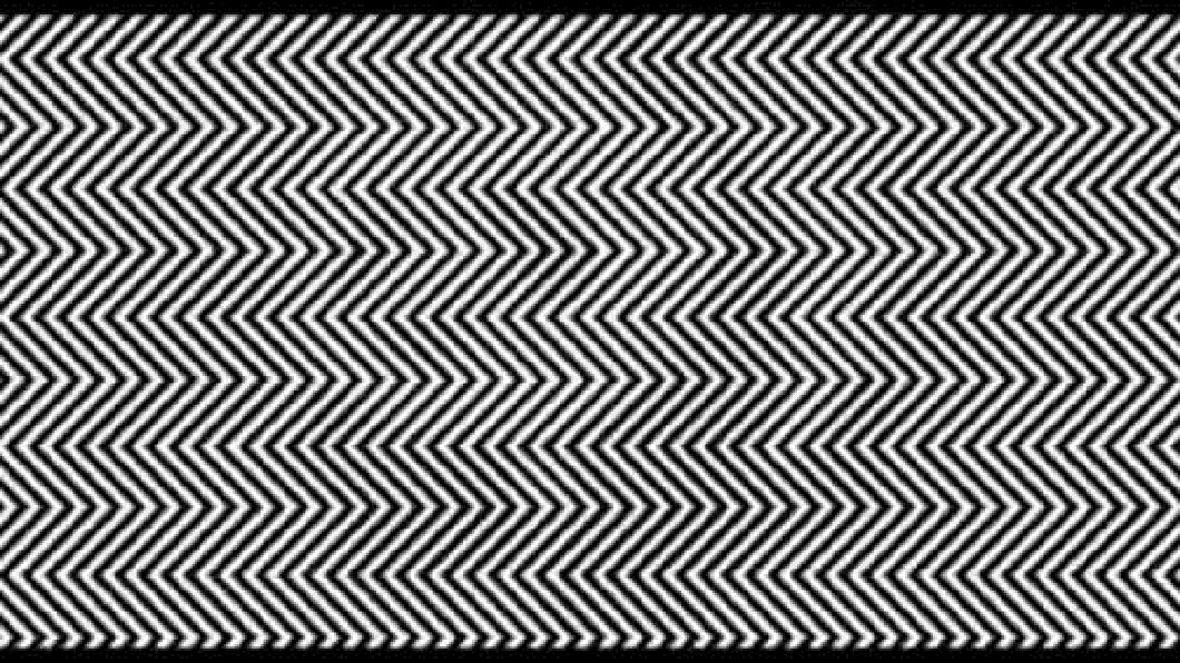僅「1%」人看見!黑白曲線藏某種動物 你找到了嗎?