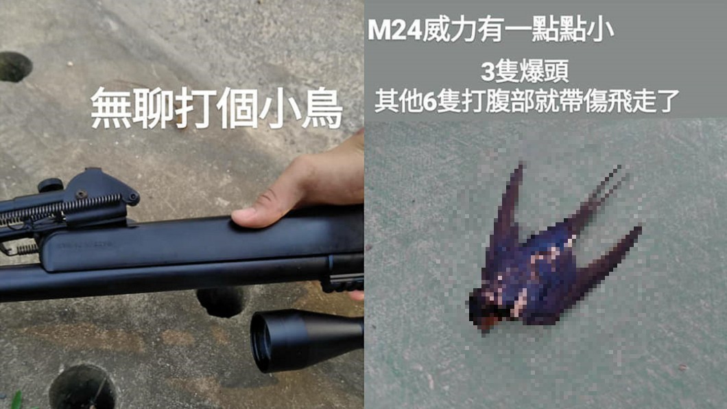 圖/爆料公社