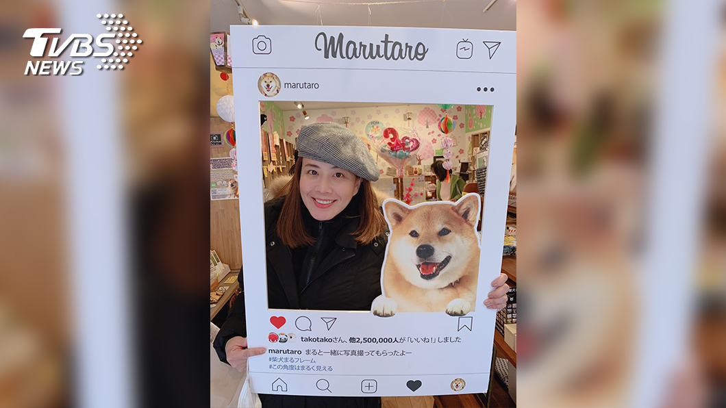 TVBS主播秦綾謙最愛日本柴犬與拉麵,只要看到柴犬系列商品就會少女心大噴發。(圖/TVBS)
