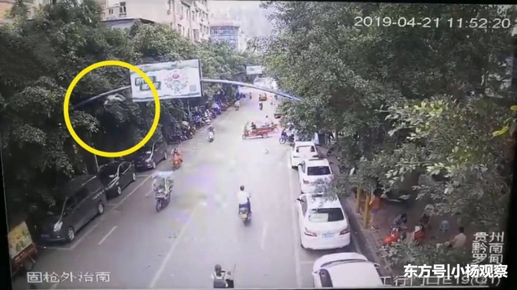 貴州日前發生一起離奇車禍,一隻鵝突然從天而降,砸中一名未戴安全帽的女騎士。(圖/翻攝自搜狐新聞)