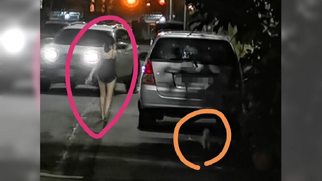 真理褲妹遛狗不牽繩!她拍照怒PO文網歪樓:求正面照