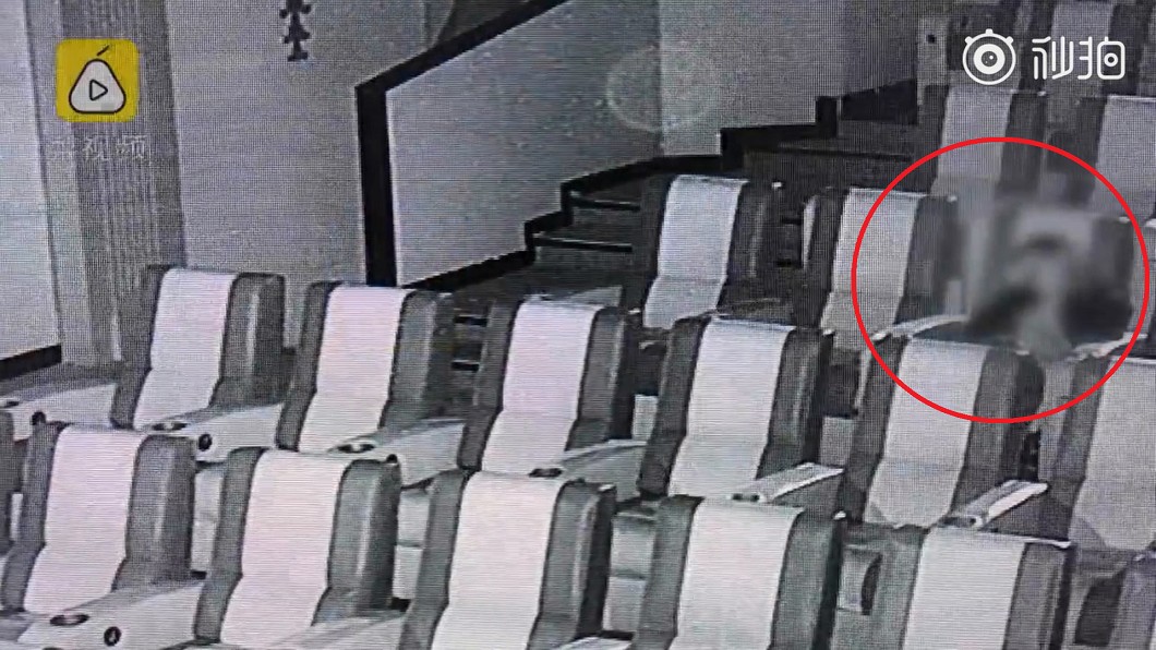 圖/翻攝自 秒拍