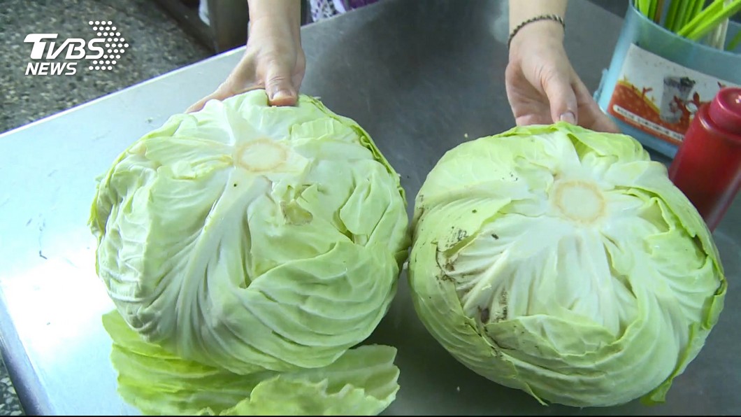 大家分辨得出來高麗菜公、母？（圖／TVBS資料畫面）
