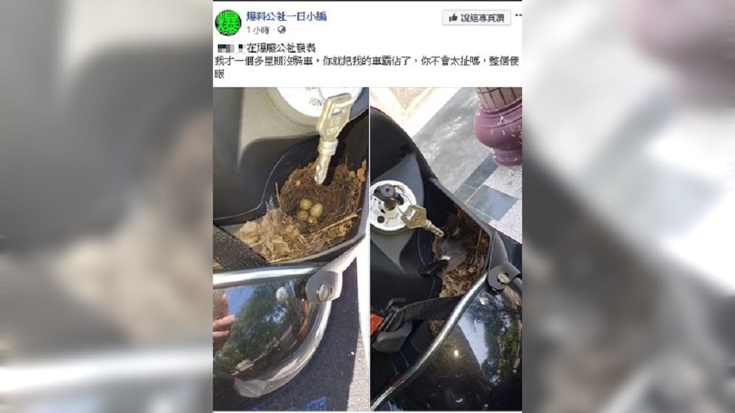 圖/翻攝自 爆廢公社