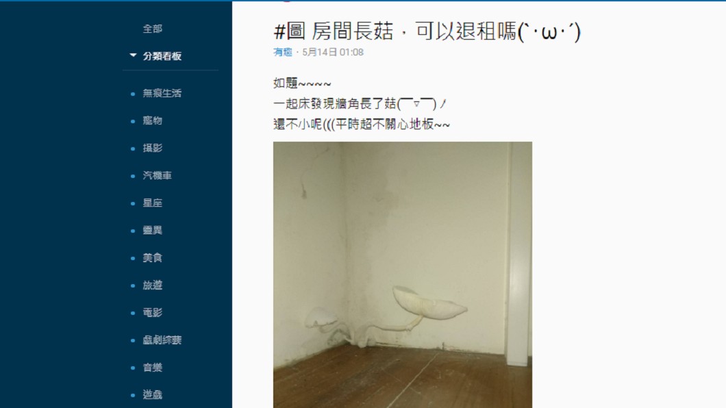 房間冒神秘白菇！狂長8小時「大如檯燈」　室友崩潰想逃