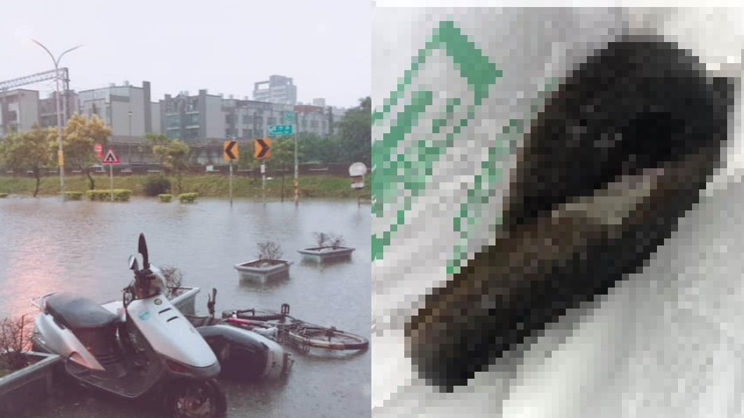 新竹暴雨!他路邊撿到「大尾鱸鰻」 網驚:這條很貴
