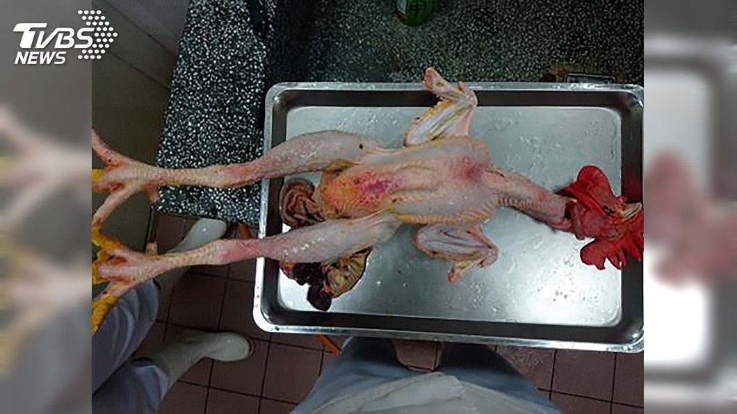 北市家禽批發市場檢出H5N2禽流感 屠體銷毀