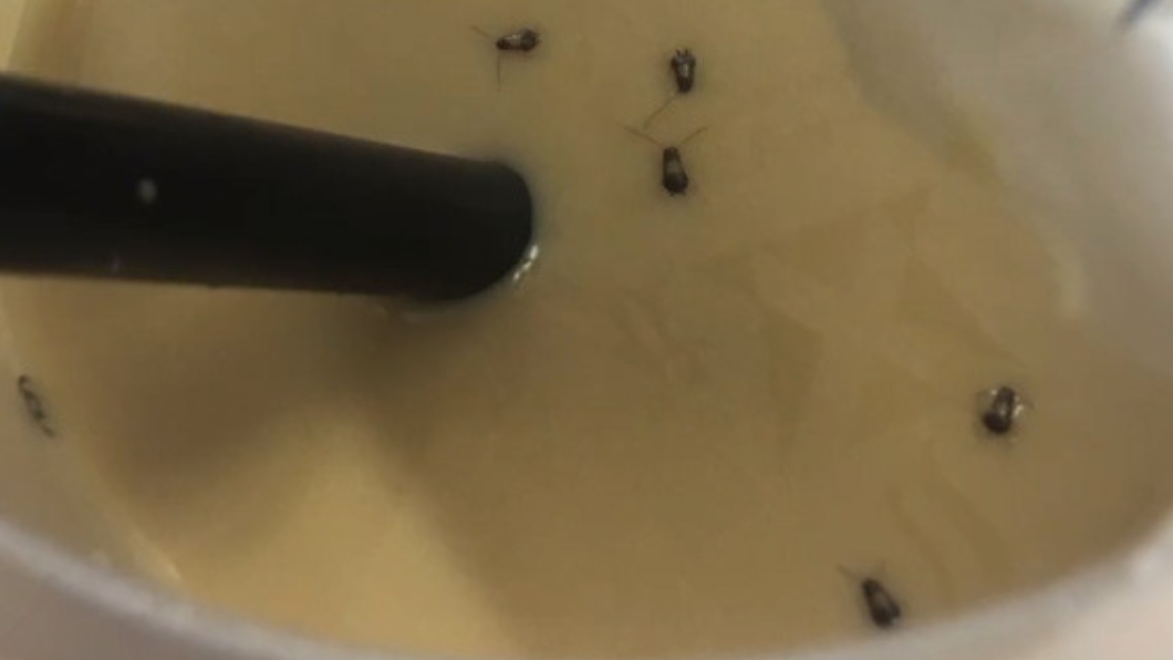 飲料喝一半才發現超多「小黑點」 驚見16隻小強在漂浮