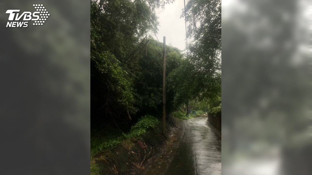瞬間大雨 汐止區路樹倒塌壓電線47戶短暫停電