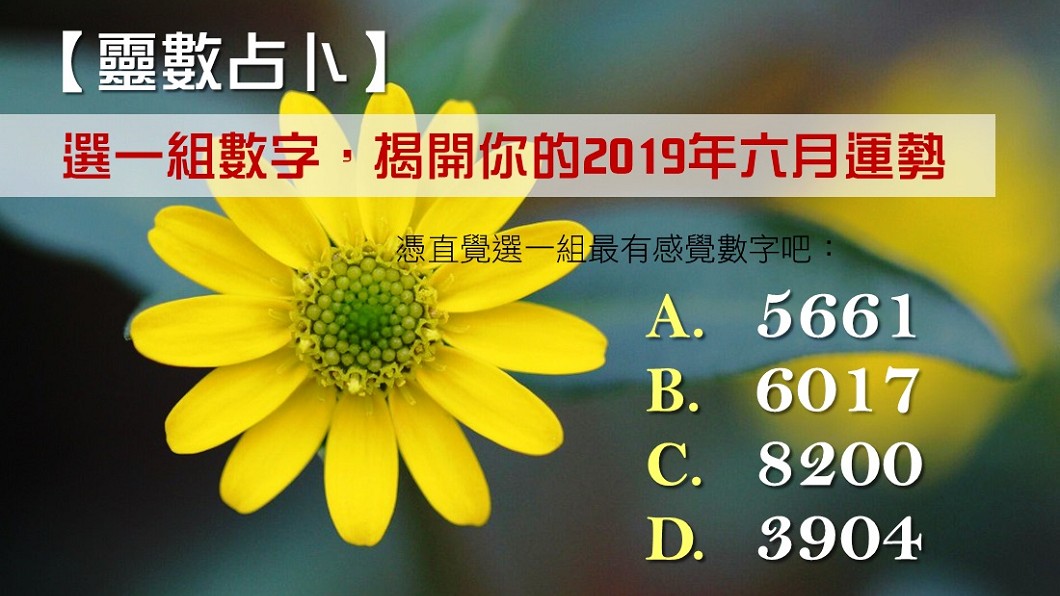 【靈數占卜】選一組數字 揭開你的2019年六月運勢