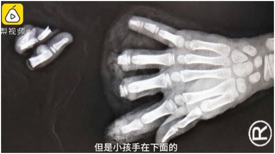 圖／翻攝梨視頻