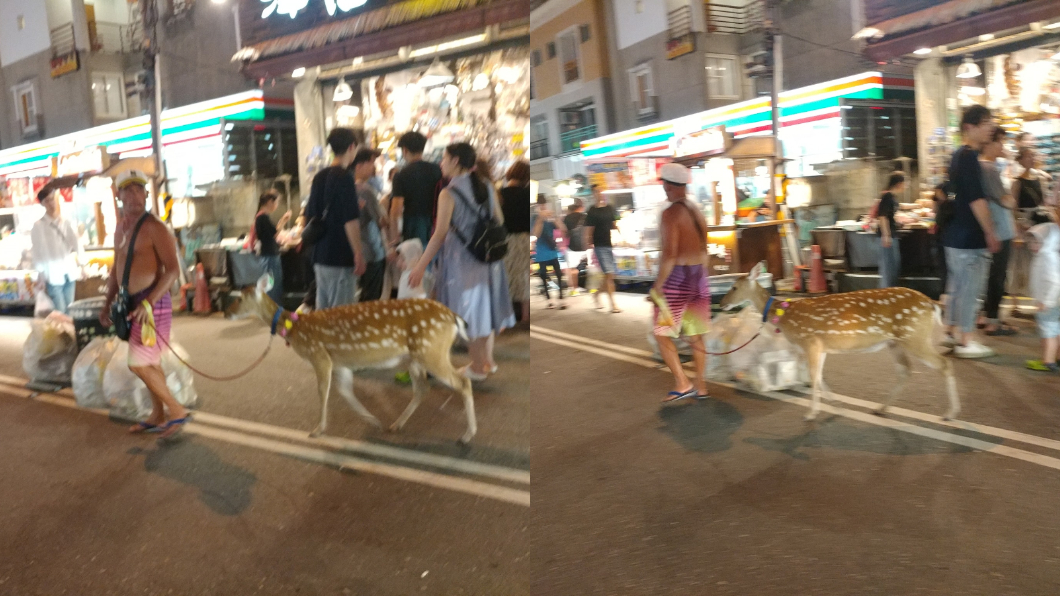 墾丁驚見「梅花鹿」逛大街!看到主人嚇傻:是他!