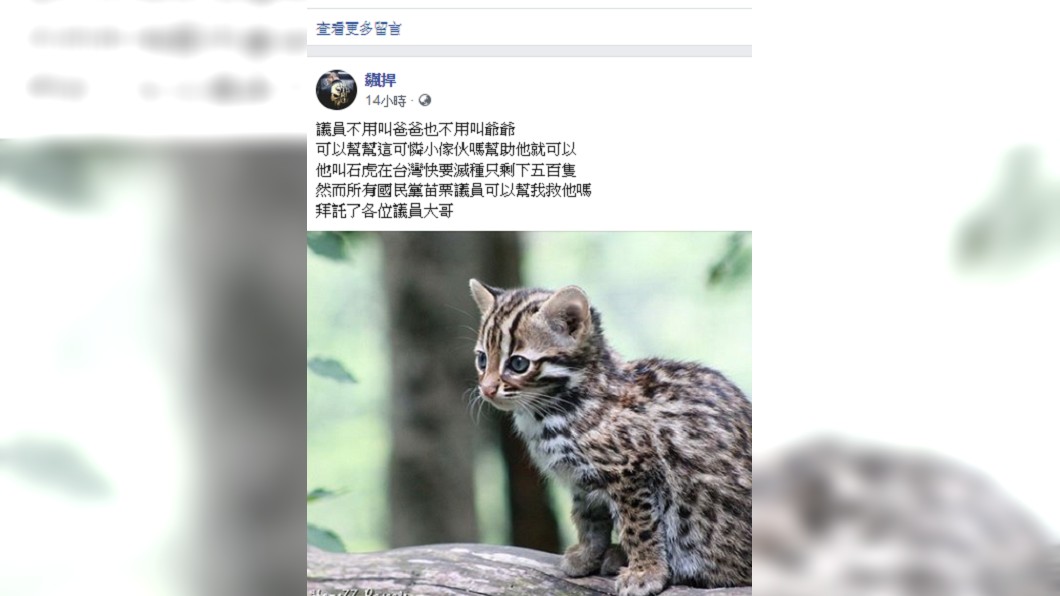 圖 ／翻攝館長臉書