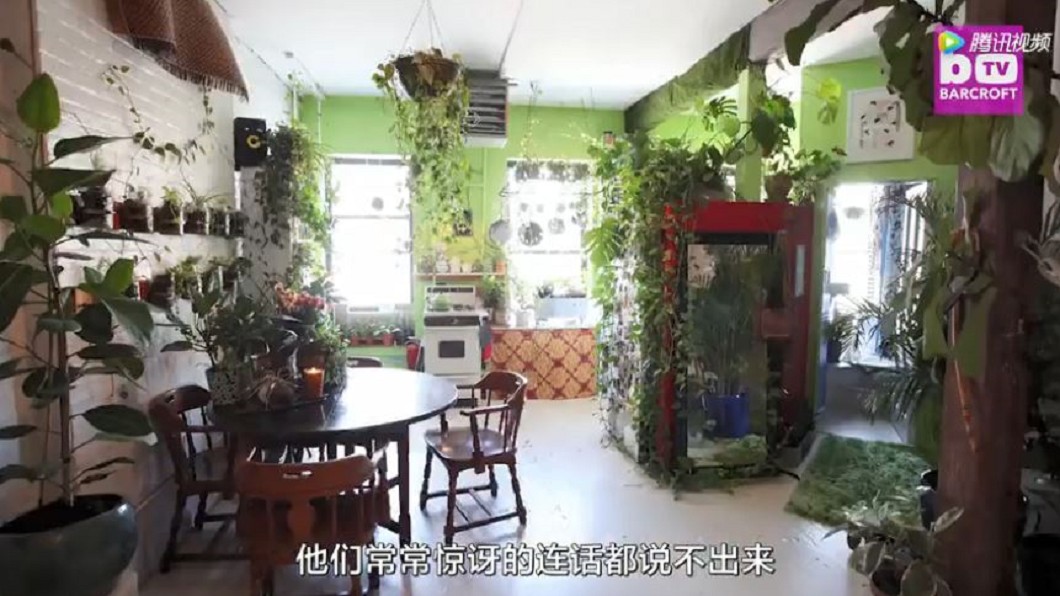 千禧世代反璞歸真　網路教種盆栽養室內叢林