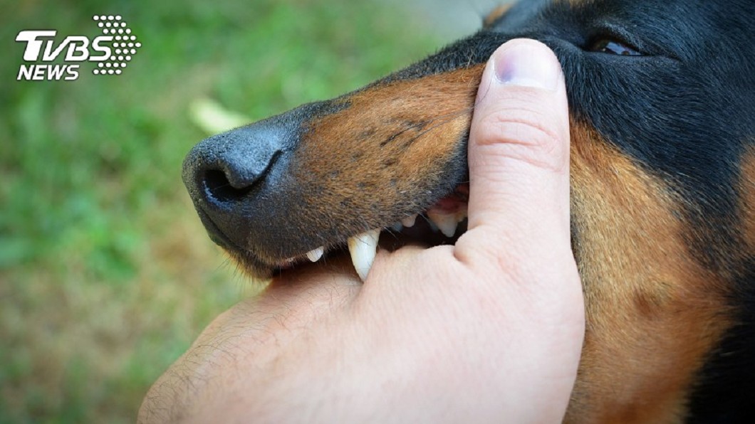 北市防範狂犬病 28場山區注射活動起跑
