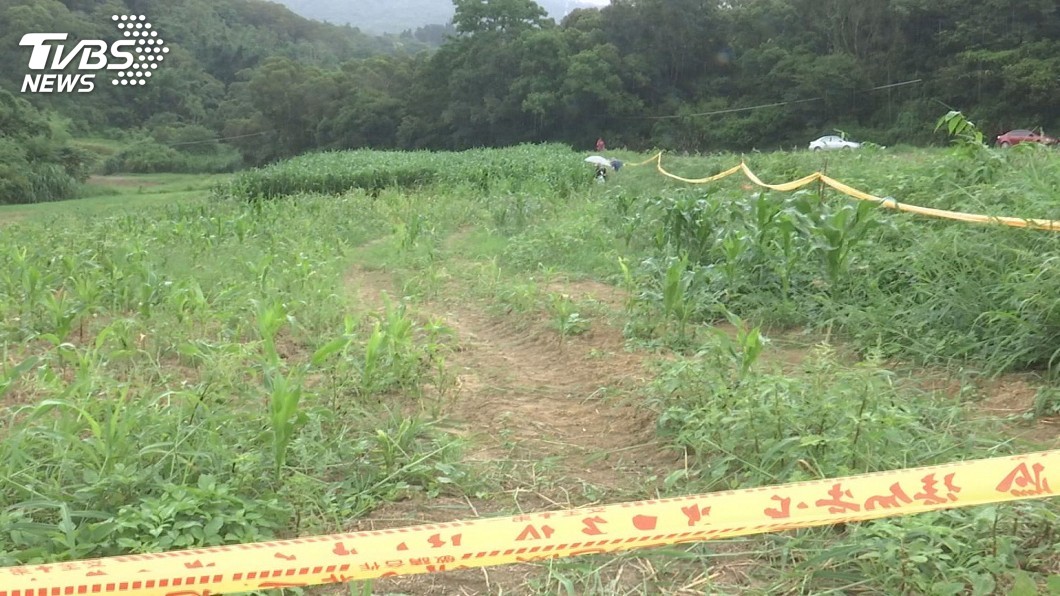 秋行軍蟲確認現蹤飛牛牧場 未採收玉米田掩埋銷毀