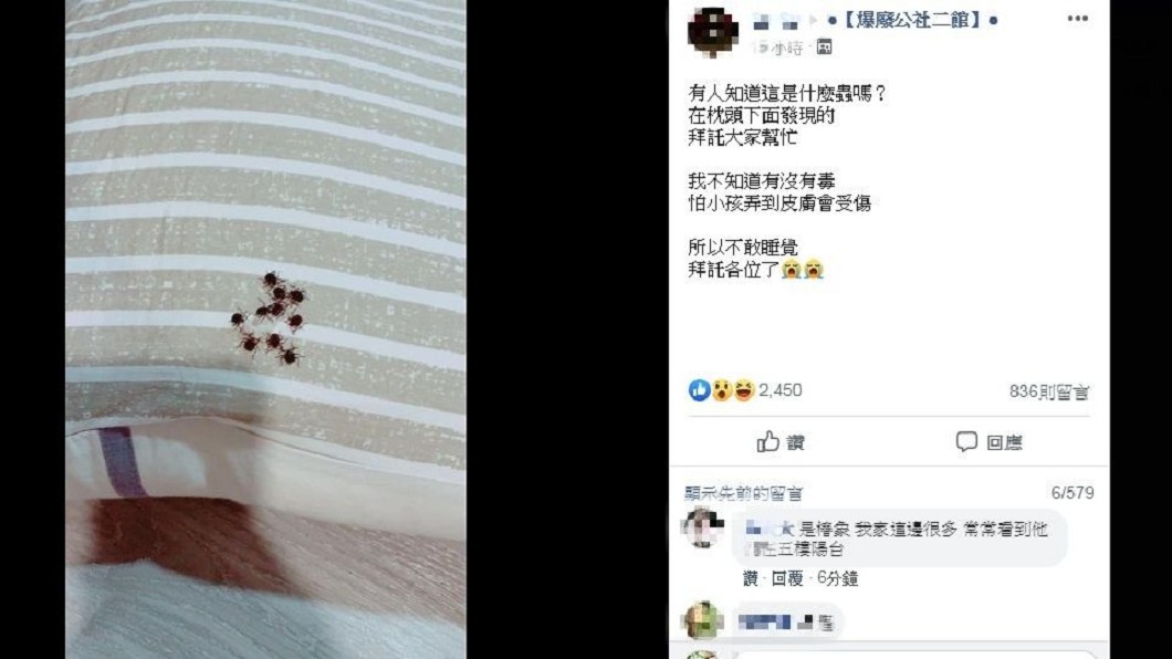 圖/翻攝自臉書「爆廢公社二館」