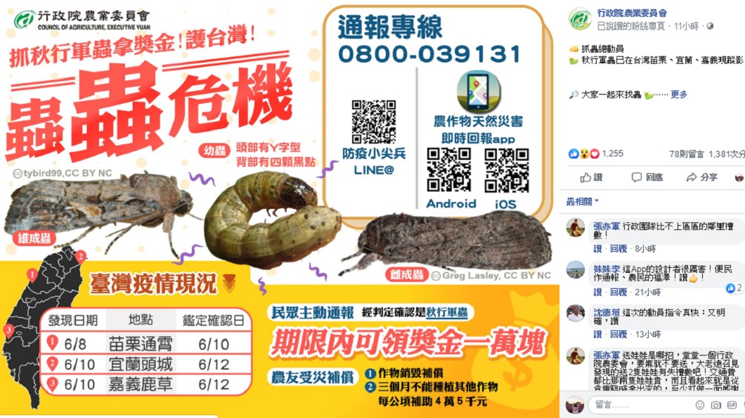 農委會舉辦活動抓蟲。圖／翻攝自農委會臉書