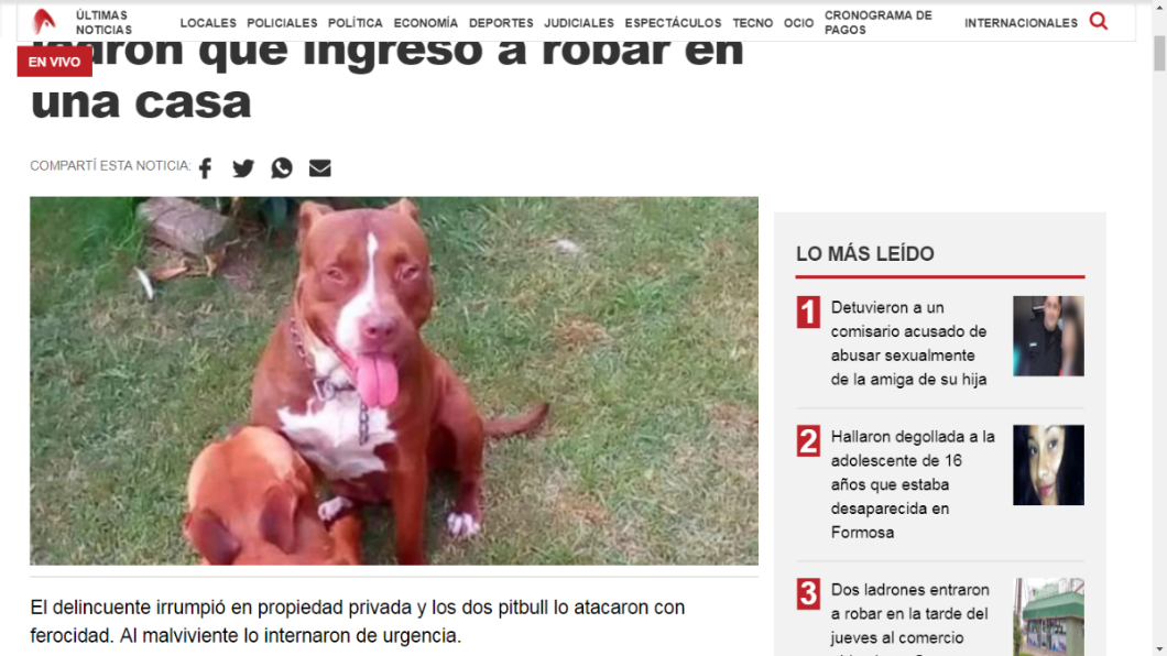 2比特犬瘋狂追咬竊賊。圖/翻攝自airedesantafe