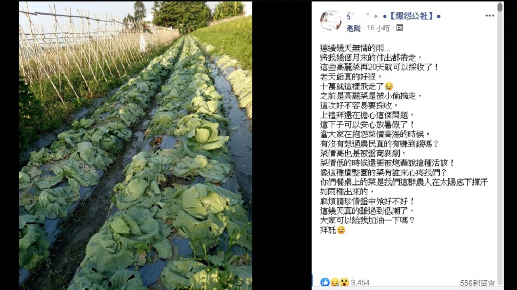 再20天就採收!卻因這場大雨10萬心血全泡湯
