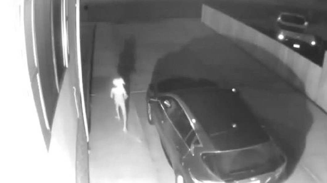 家庭小精靈多比現蹤? 美科州車道上熱舞