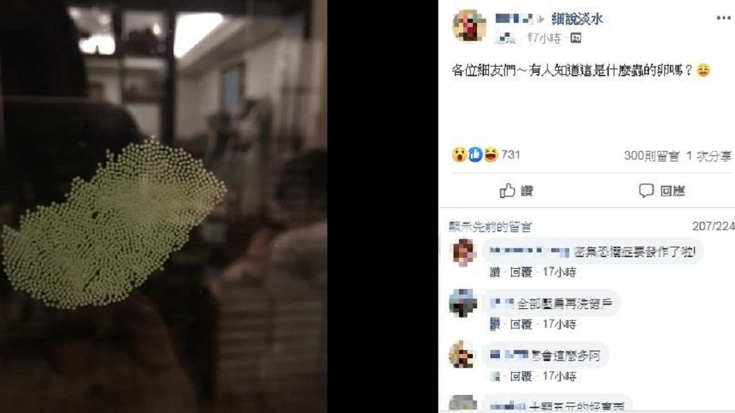 圖／翻攝自臉書「細說淡水」