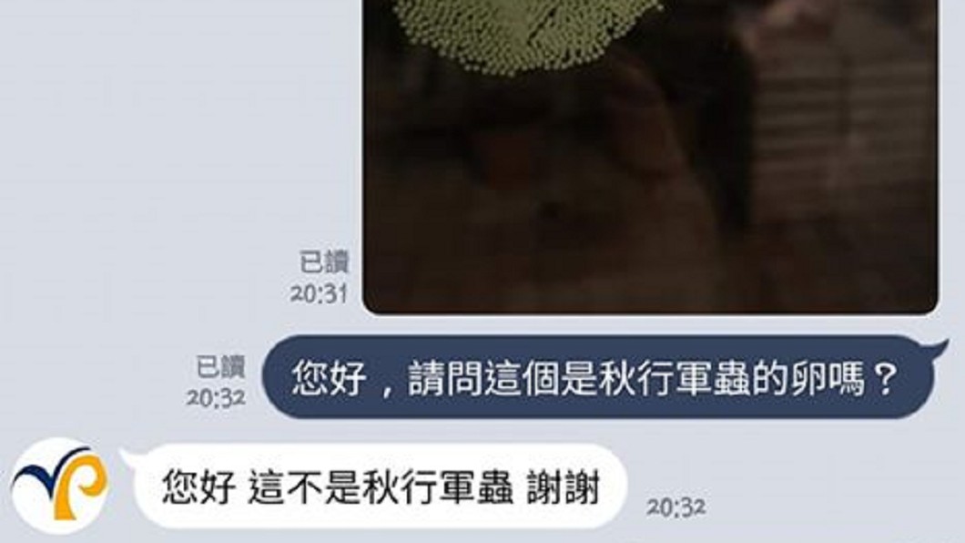 熱心網友將照片傳至防檢局官方LINE詢問。圖／翻攝自臉書「細說淡水」