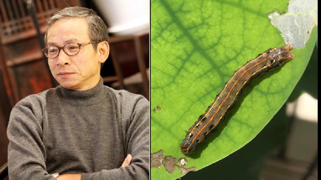 吳念真求解「是不是秋行軍蟲」 防疫局神回網讚翻