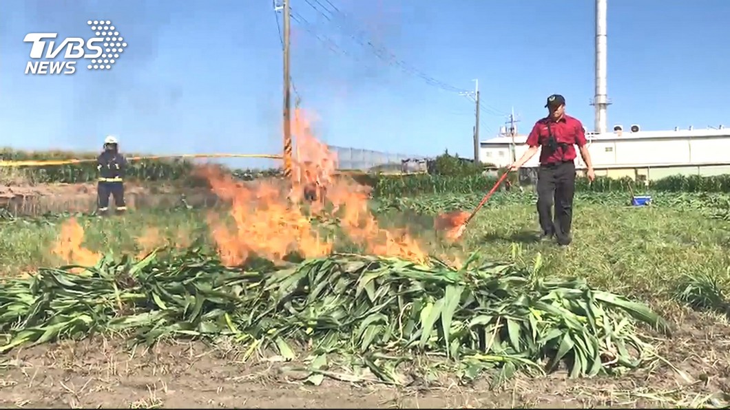焚燒農作物防疫 環保署:6月空氣品質影響小