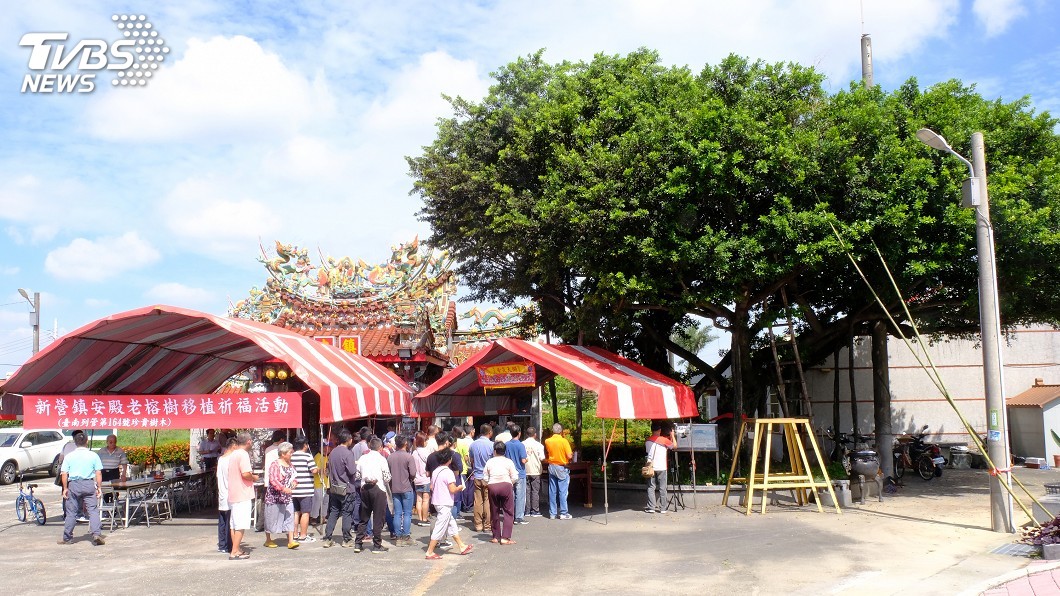 台南300歲老榕樹要搬家 各界祈福盼順利