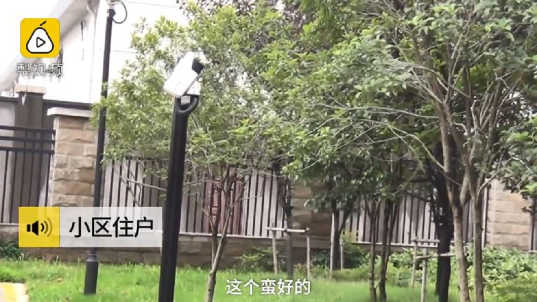 圖/翻攝自梨視頻