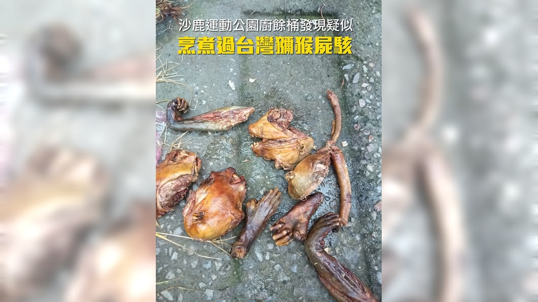 圖／台中市公民會館提供