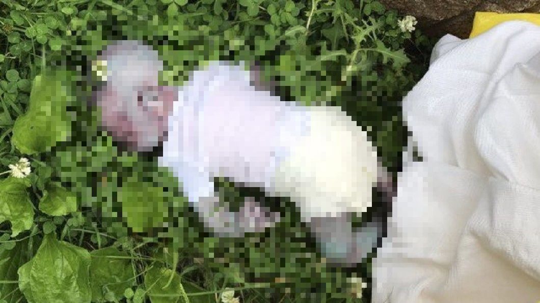 悚!草叢驚見嬰兒「全身傷痕慘死」 真相讓警方怒了