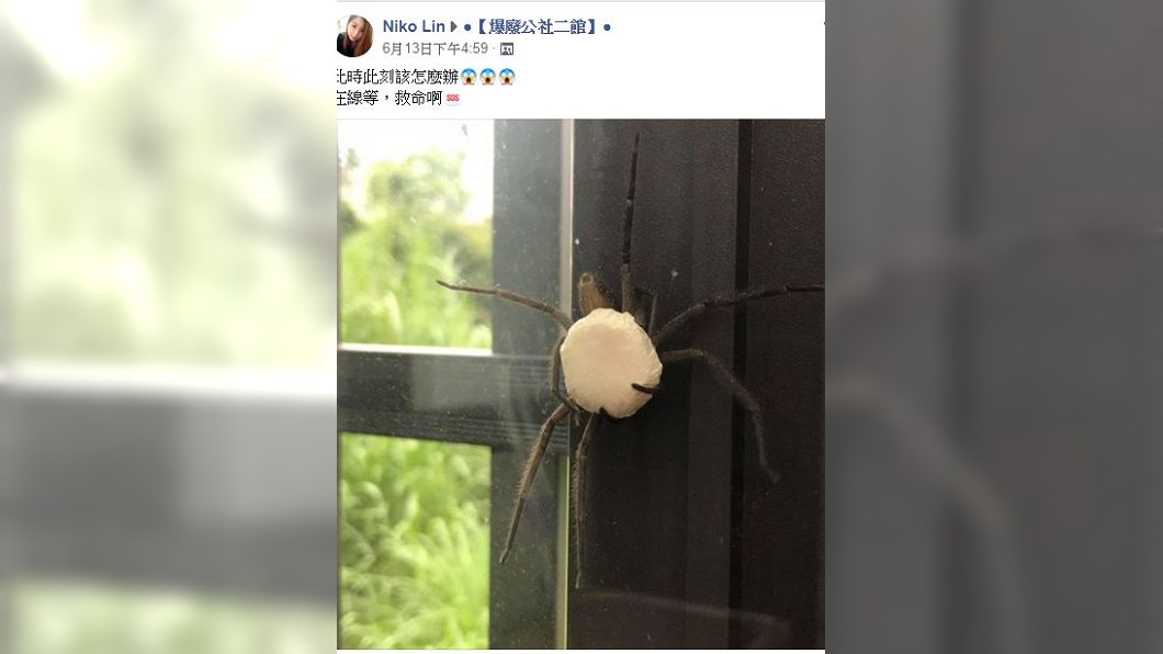 不少網友看到後勸她別弄破,否則後果不堪設想。(圖/翻攝自爆廢公社二館)
