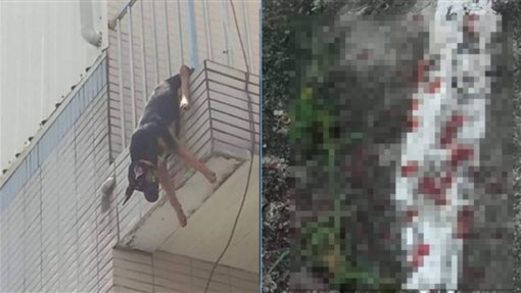 高溫困3樓陽台！小黑狗卡欄杆「懸空吊掛」　狂吐血慘死