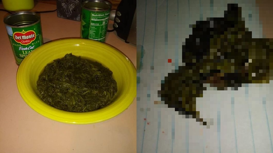 菠菜罐頭怪怪的!她手一撥嚇壞…驚見「整隻完整鳥屍」