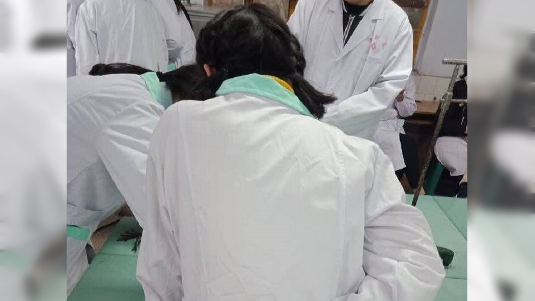 這背影超霸氣!醫學院女一手抓青蛙 網曝辛酸真相