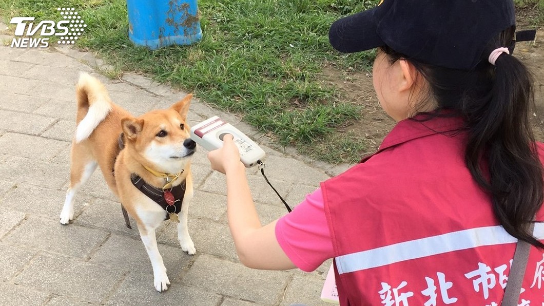 犬貓飼主注意!新北鎖定公園稽查 寵物查無登記將開罰