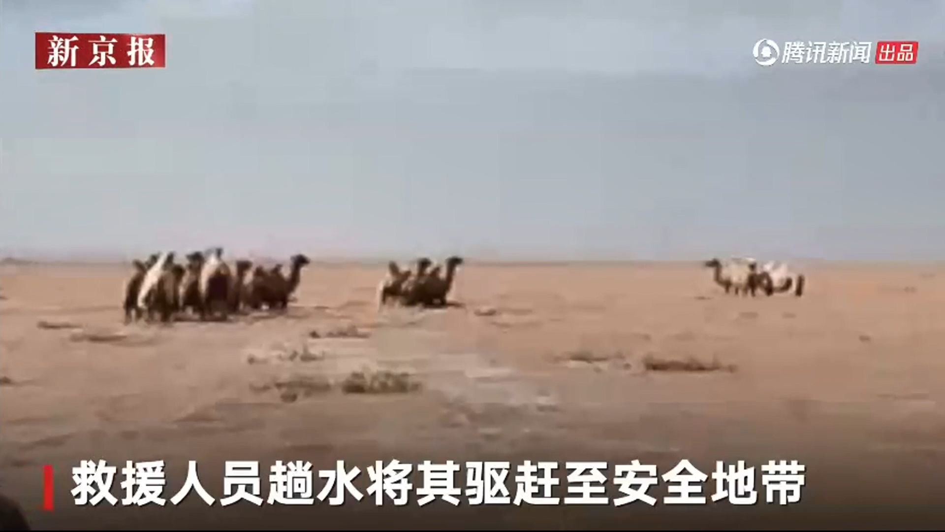 圖/翻攝自騰訊新聞
