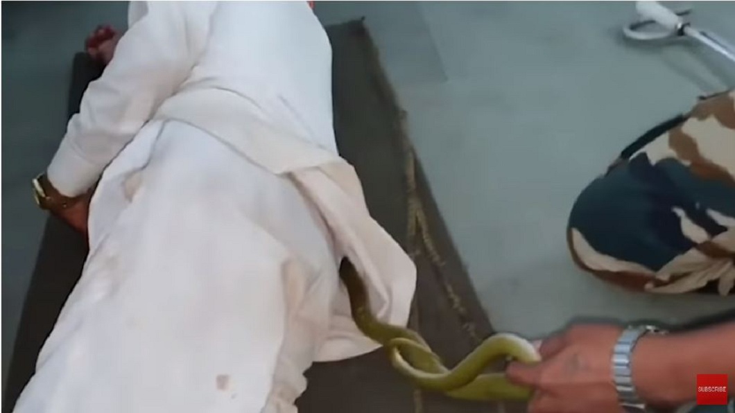 命大!毒蛇鑽進衣服內 男全程睡死超無感